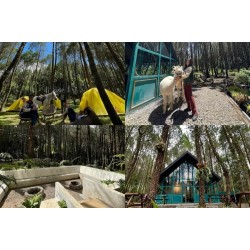 EVENT ORGANIZER EVENT ORGANIZER