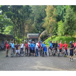 RENTAL SEPEDA RENTAL SEPEDA